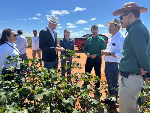 ALGODÃO RESPONSÁVEL: Visita da Better Cotton à Bahia reforça compromisso com a sustentabilidade no cultivo da fibra e o combate aos fakes